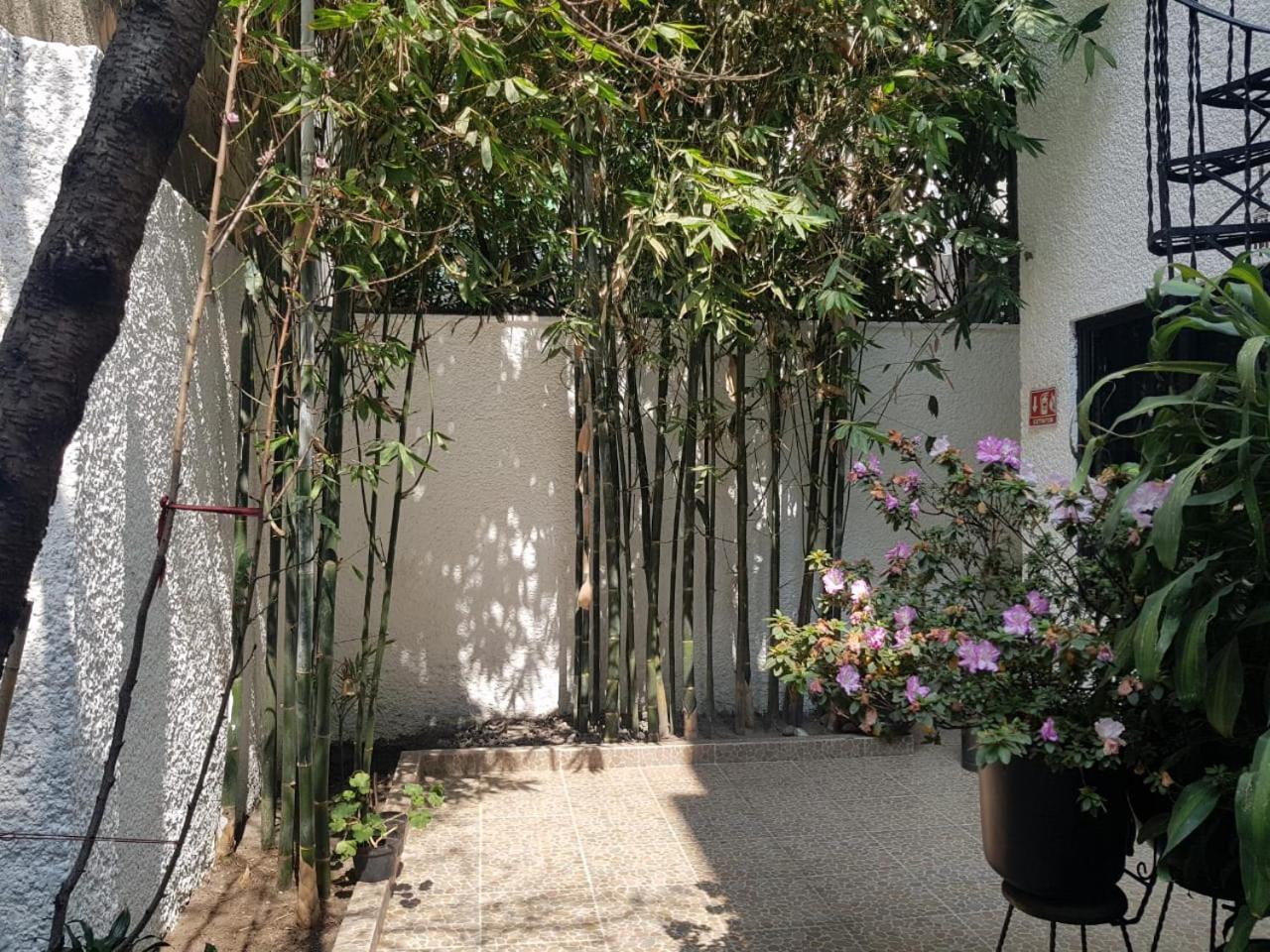 Hotel Casa Maria Elena Condesa (Adults Only) à Mexico Extérieur photo